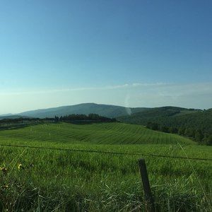 Meet your Posher, Steve